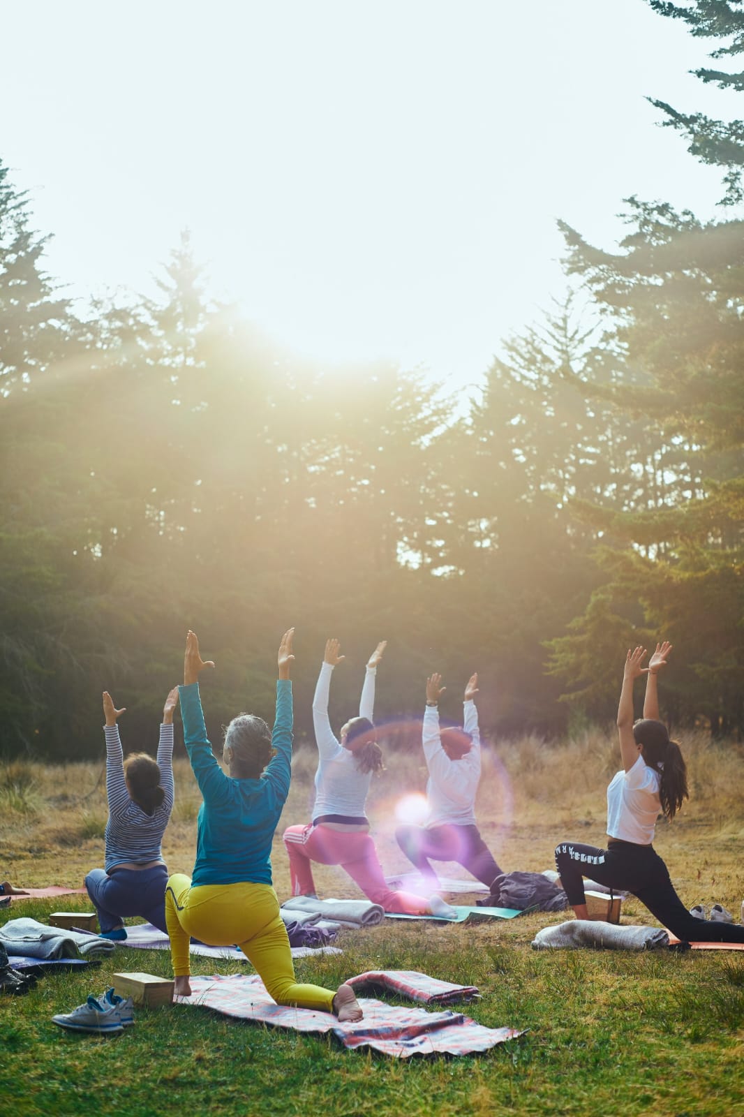 Energy in Daily Life
